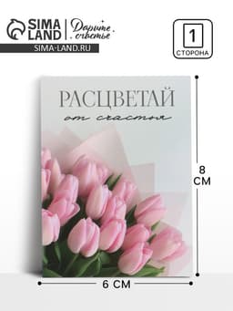Открытка-мини «Прекрасной тебе», 8×6 см