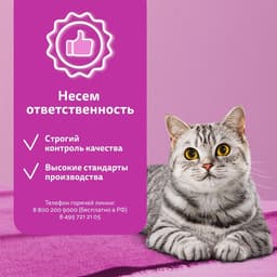 Влажный корм Whiskas для кошек, рагу индейка, 75 г