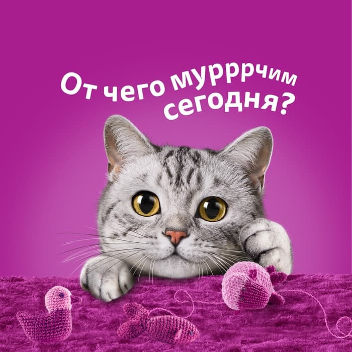 Влажный корм Whiskas для кошек, рагу индейка, 75 г