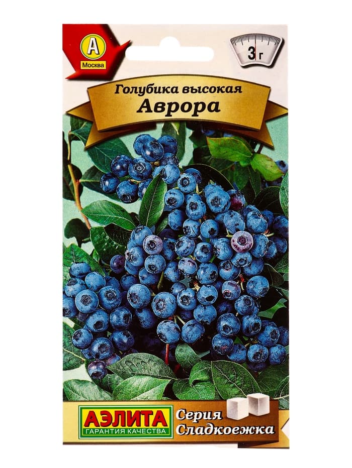 Семена Голубика высокая «Аврора Сладкоежка», 0.01 г, «Аэлита»