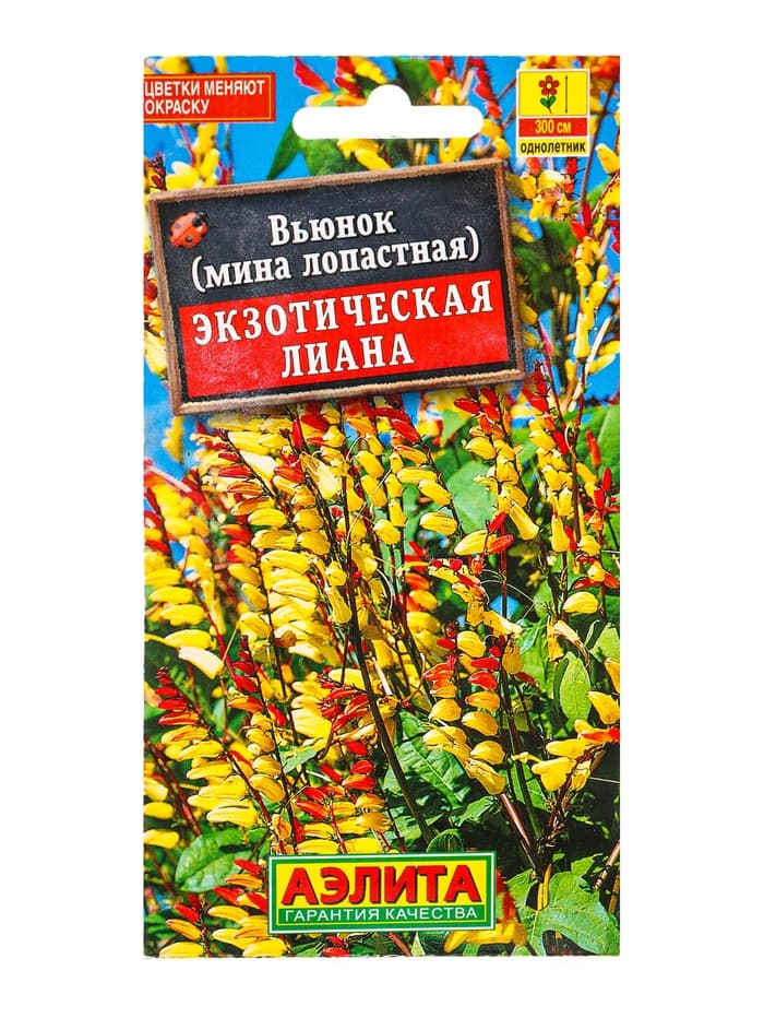 Семена цветов Вьюнок Экзотическая лиана , Ц/П,0,4 г