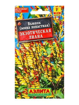 Семена цветов Вьюнок Экзотическая лиана , Ц/П,0,4 г