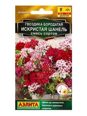 Семена цветов Гвоздика бородатая «Искристая Шанель» смесь, 0.1 г
