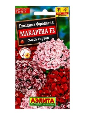 Семена цветов Гвоздика бородатая «Макарена» F2, смесь, 0.1 г