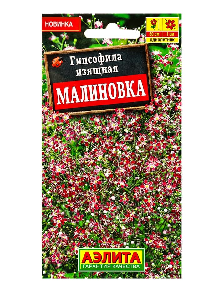 Семена цветов Гипсофила изящная Малиновка , Ц/П,0,05 г