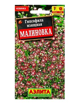 Семена цветов Гипсофила изящная Малиновка , Ц/П,0,05 г