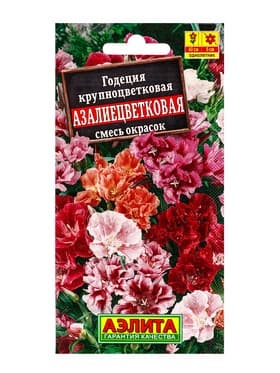 Семена цветов Годеция крупноцветковая «Азалиецветковая» махровая, смесь, 0.05 г