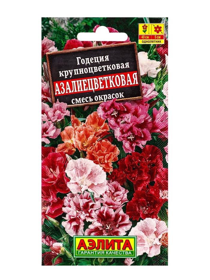 Семена цветов Годеция крупноцветковая «Азалиецветковая» махровая, смесь, 0.05 г