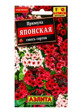 Семена цветов Примула японская, смесь окрасок Мн, Ц/П,20 шт.