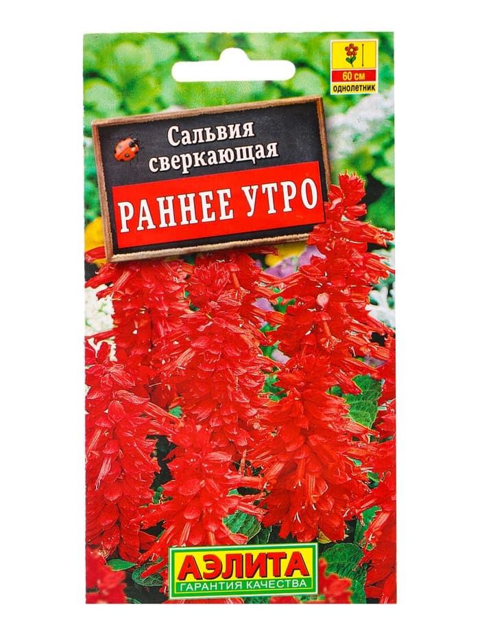 Семена цветов Сальвия Раннее утро , Ц/П,0,1 г