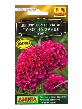 Семена цветов Целозия гребенчатая Ту хот ту хандл пурпл  С. Floranova Золотая серия, Ц/П,5 шт. 10945