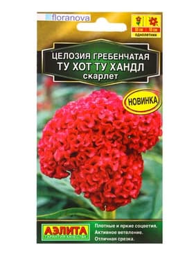 Семена цветов Целозия гребенчатая Ту хот ту хандл скарлет  С. Floranova , Ц/П,5 шт.