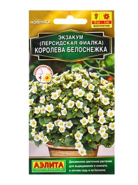 Семена цветов Экзакум Персидская фиалка «Королева белоснежка», 4 шт., драже, «АЭЛИТА»