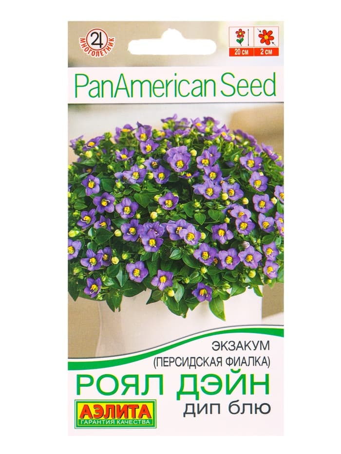 Семена цветов Экзакум (Персидская фиалка) Роял дэйн дип блю  (драже)  PanAmerican, Ц/П,4 шт. 1094596