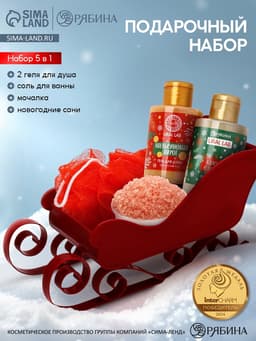 Подарочный набор новогодний в санях: гель для душа 2 шт., соль для ванны и мочалка, URAL LAB