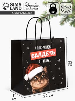 Пакет подарочный новогодний крафтовый «С пожеланием», 22×22×11 см