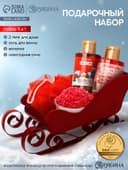 Подарочный набор новогодний в санях: 2 геля для душа, соль для ванны и мочалка, URAL LAB