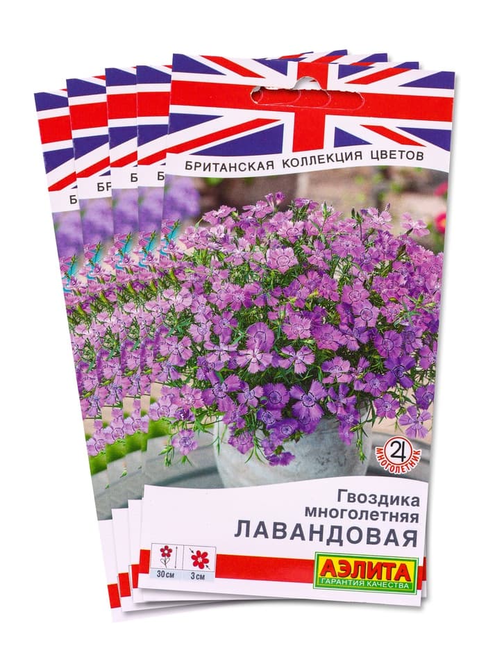 Набор семян Гвоздика многолетняя лавандовая, 5 шт., «Мой выбор»