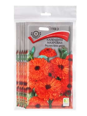 Набор семян Календула махровая «Ред виз блэк центр», 5 шт., «Мой выбор»