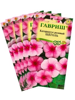Набор семян комнатных Барвинок «Щеголь», 5 шт., «Мой выбор»