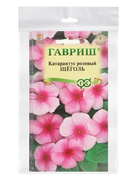 Набор семян комнатных Барвинок «Щеголь», 5 шт., «Мой выбор»
