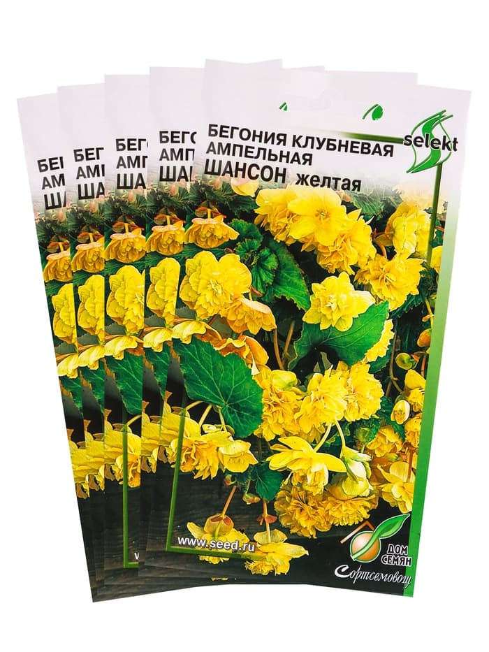 Набор семян Бегония ампельная «Шансон» клубневая, жёлтая, 5 шт., «Мой выбор»
