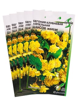 Набор семян Бегония ампельная «Шансон» клубневая, жёлтая, 5 шт., «Мой выбор»
