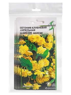 Набор семян Бегония ампельная «Шансон» клубневая, жёлтая, 5 шт., «Мой выбор»