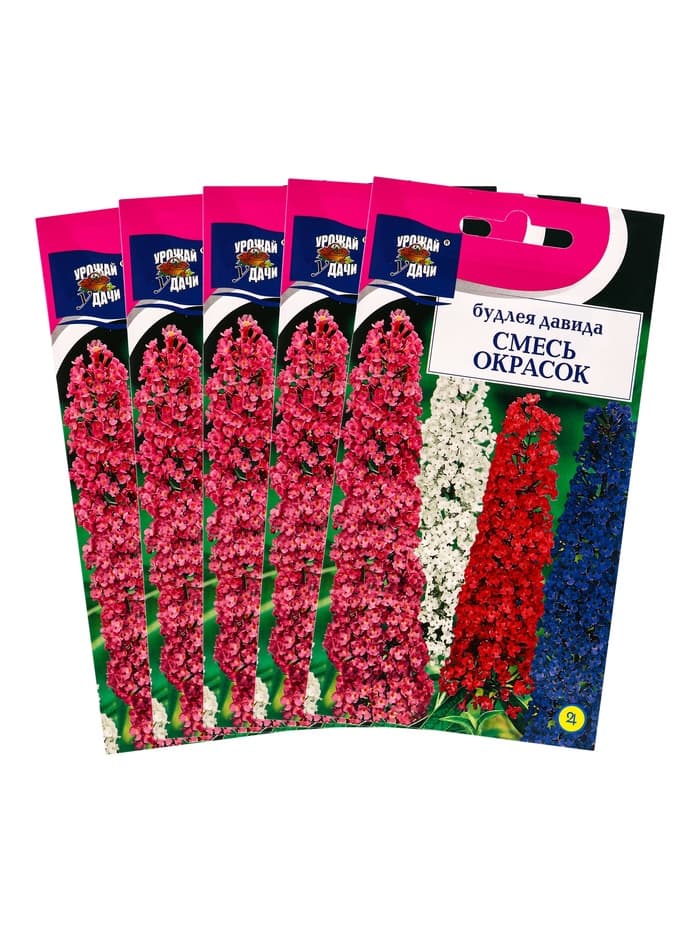 Набор семян Будлея «Давида», 5 шт., «Мой выбор»