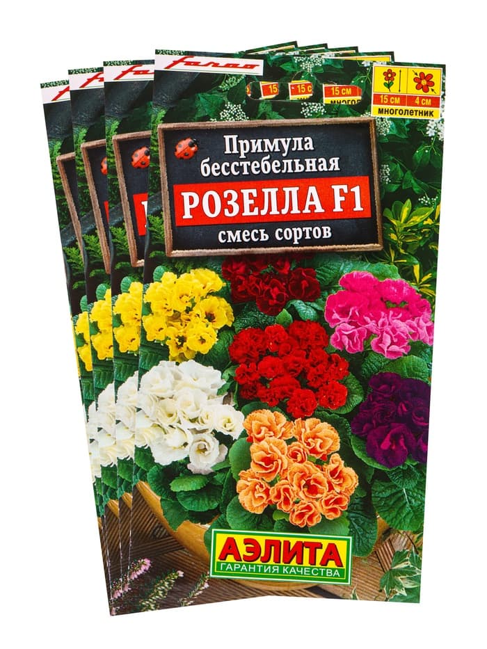 Набор семян Примула «Розелла», смесь окрасок, F1, 4 шт., «Мой выбор»