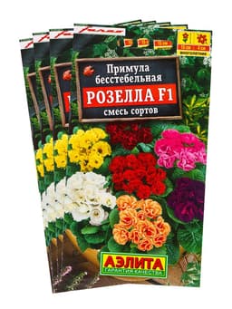 Набор семян Примула «Розелла», смесь окрасок, F1, 4 шт., «Мой выбор»