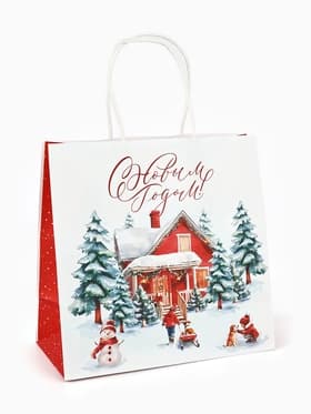 Набор пакетов крафтовых «Новогодний», 10 шт, 22 × 22 × 11 см