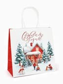 Набор пакетов крафтовых «Новогодний», 10 шт, 22 × 22 × 11 см
