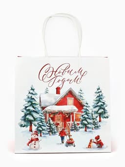 Набор пакетов крафтовых «Новогодний», 10 шт, 22 × 22 × 11 см