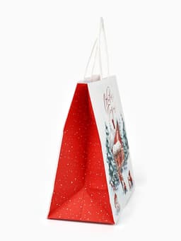 Набор пакетов крафтовых «Новогодний», 10 шт, 22 × 22 × 11 см