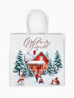 Набор пакетов крафтовых «Новогодний», 10 шт, 22 × 22 × 11 см