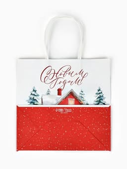 Набор пакетов крафтовых «Новогодний», 10 шт, 22 × 22 × 11 см