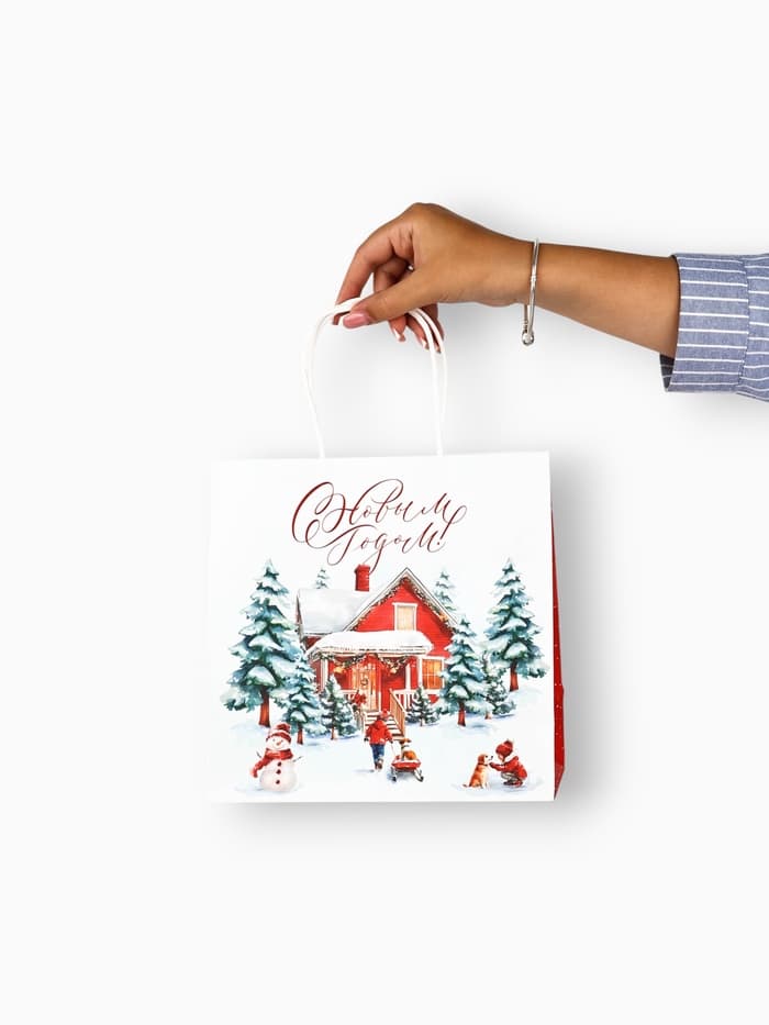 Набор пакетов крафтовых «Новогодний», 10 шт, 22 × 22 × 11 см