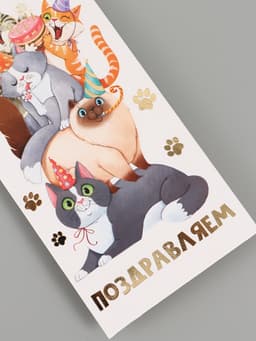 Конверт для денег «Поздравляю», коты, тиснение, 16.5×8 см