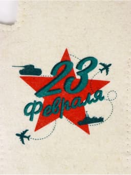 Рукавица для бани и сауны «23 февраля», полиэфир, шерсть