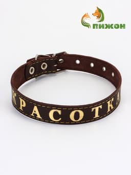 Ошейник «Красотка», 60×2.5 см, однослойный, тиснение фольгой, кожа, цвет МИКС