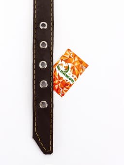 Ошейник «Красотка», 60×2.5 см, однослойный, тиснение фольгой, кожа, цвет МИКС