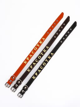 Ошейник «Красотка», 60×2.5 см, однослойный, тиснение фольгой, кожа, цвет МИКС