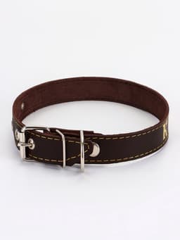 Ошейник «Красотка», 60×2.5 см, однослойный, тиснение фольгой, кожа, цвет МИКС