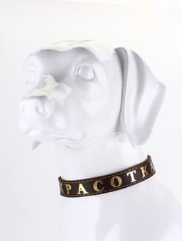 Ошейник «Красотка», 60×2.5 см, однослойный, тиснение фольгой, кожа, цвет МИКС