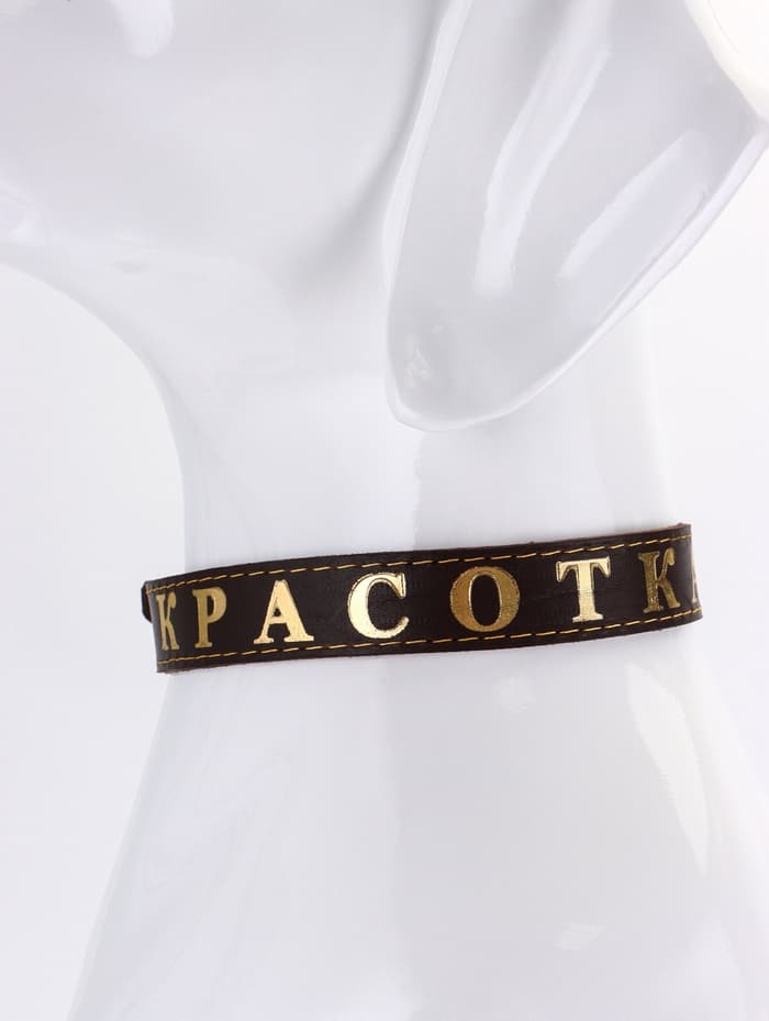 Ошейник «Красотка», 60×2.5 см, однослойный, тиснение фольгой, кожа, цвет МИКС