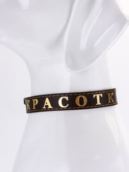 Ошейник «Красотка», 60×2.5 см, однослойный, тиснение фольгой, кожа, цвет МИКС