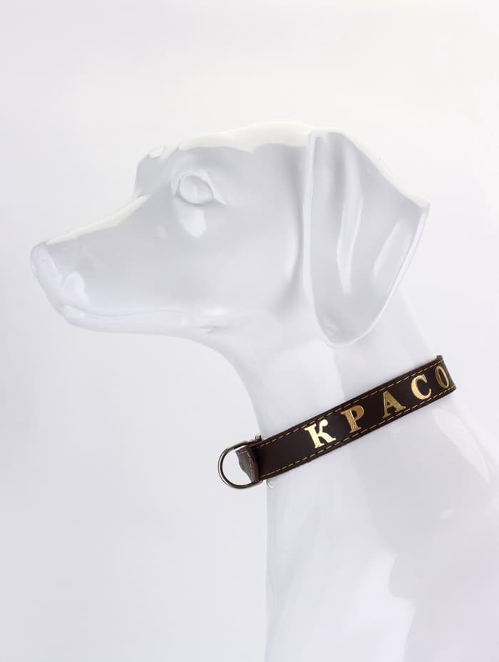 Ошейник «Красотка», 60×2.5 см, однослойный, тиснение фольгой, кожа, цвет МИКС