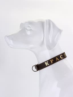 Ошейник «Красотка», 60×2.5 см, однослойный, тиснение фольгой, кожа, цвет МИКС