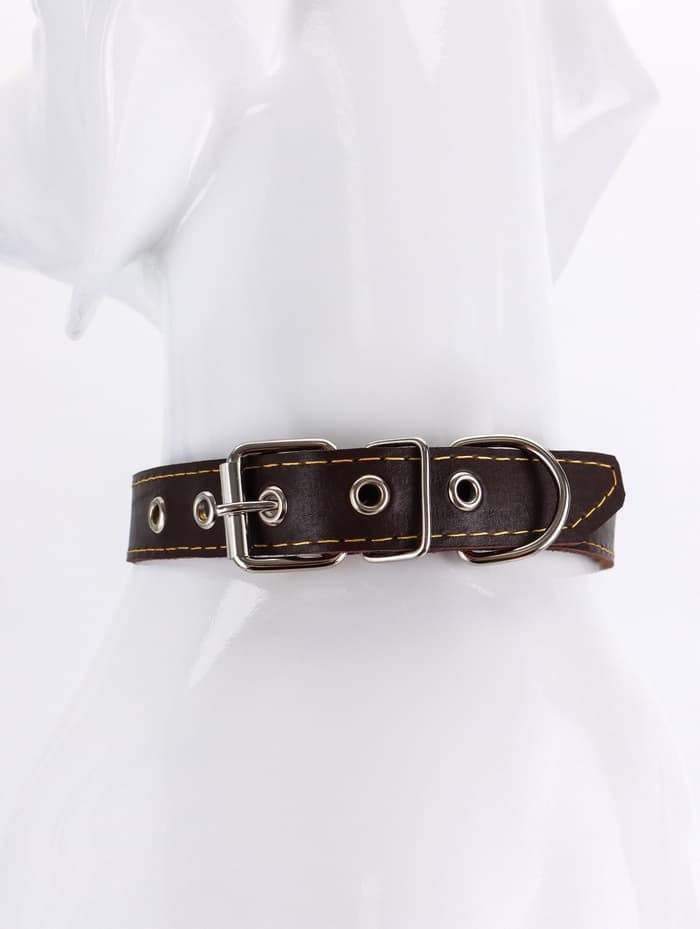 Ошейник «Красотка», 60×2.5 см, однослойный, тиснение фольгой, кожа, цвет МИКС